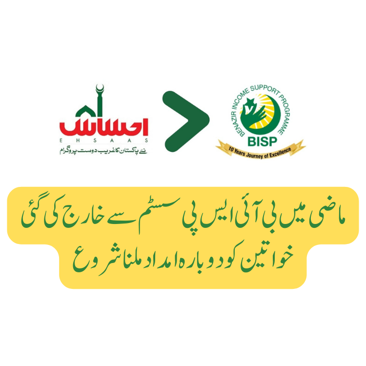 Benazir Income Support Program Online Registration New Method