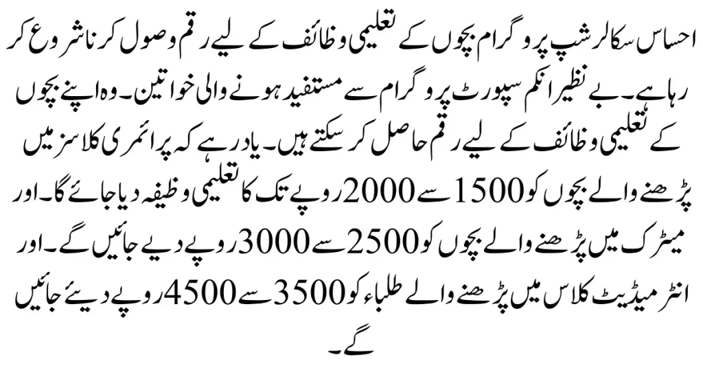 Ehsaas Scholarship Program Online Registration With New Method 