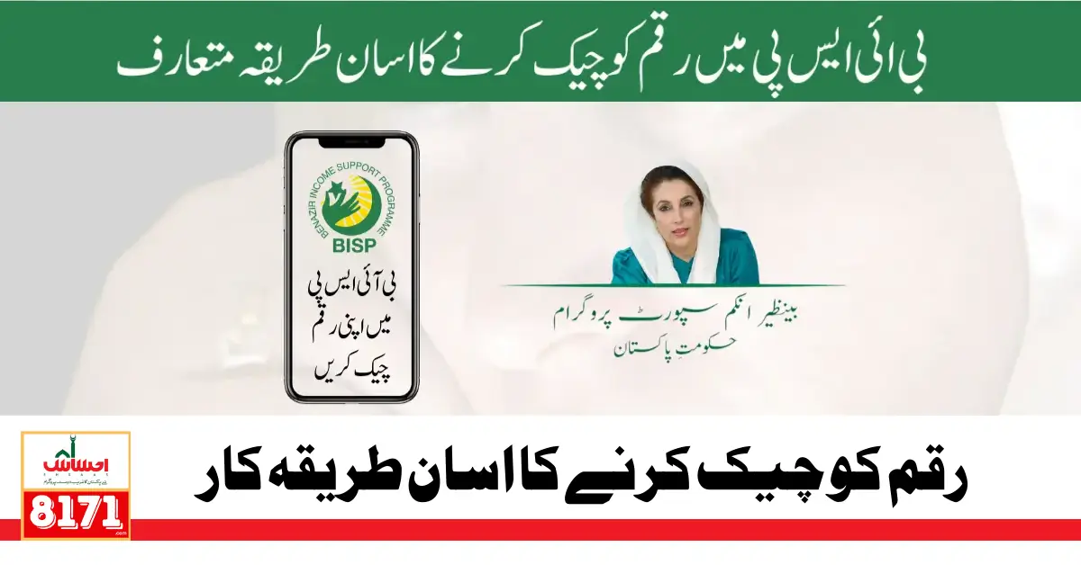 BISP Account Balance Check Online Easy Method 2024