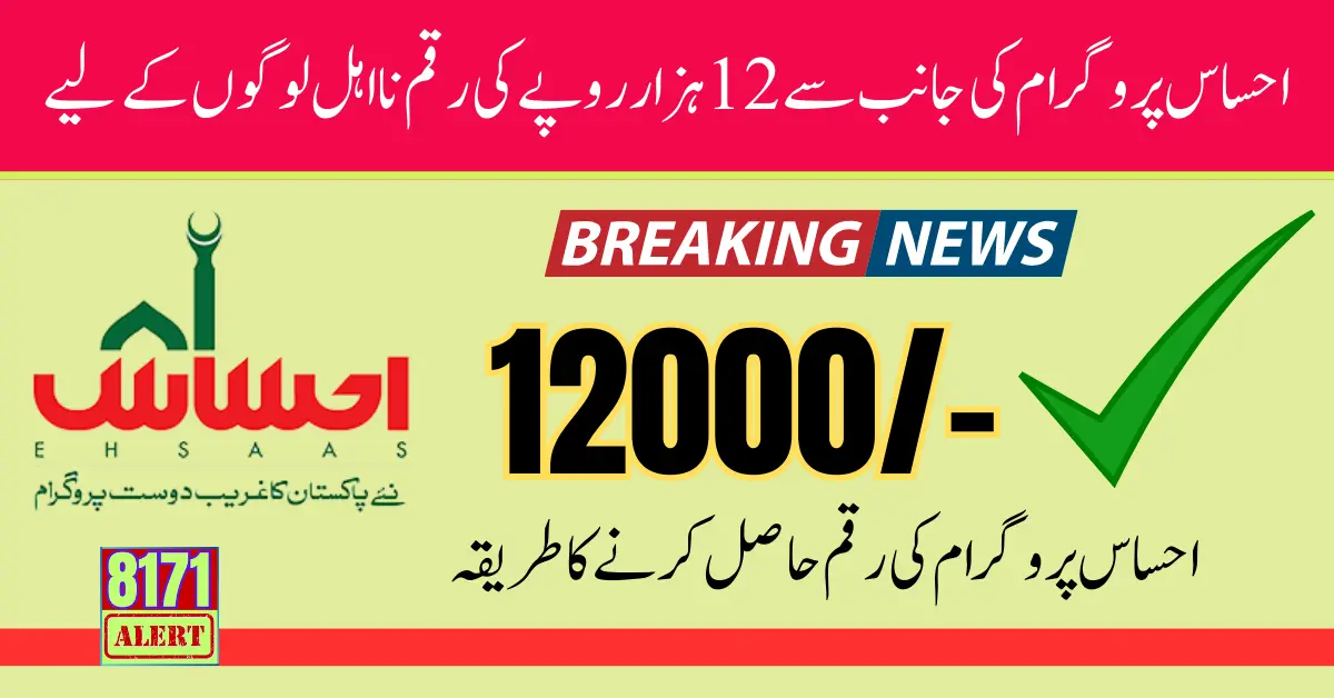 Ehsaas Program 12000 Online Registration New Update 2024