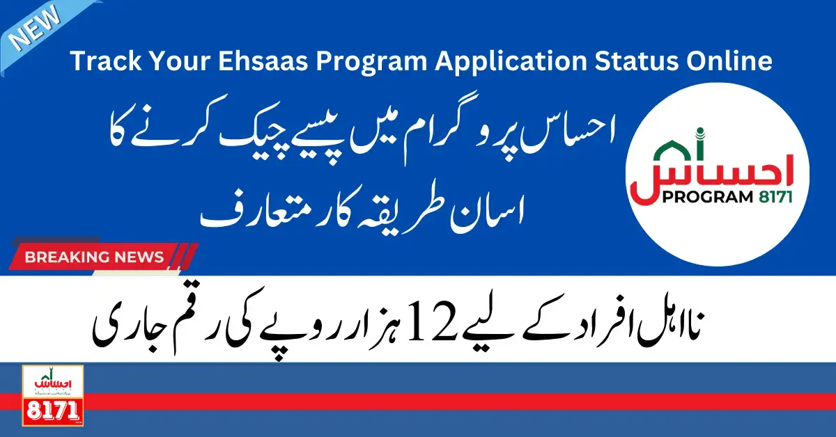 How To Track Your Ehsaas Program Application Status Online