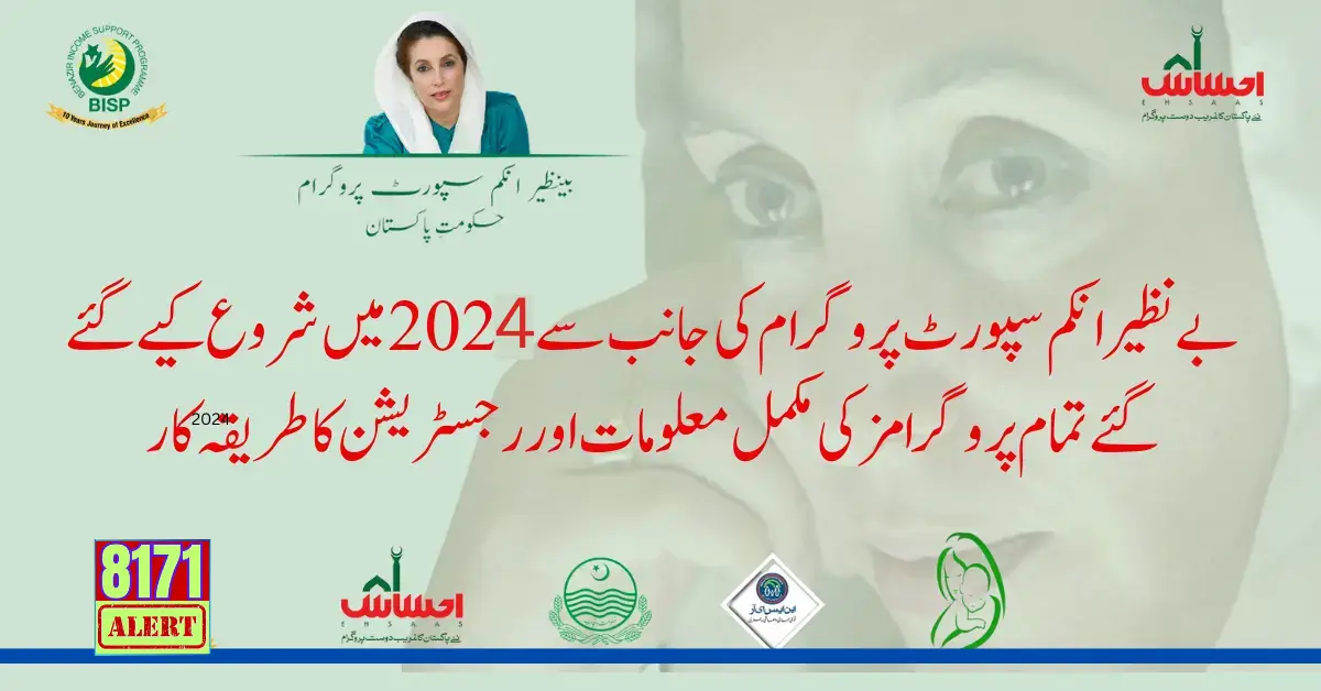 List Of BISP Programs in 2024 Online Registration and Information