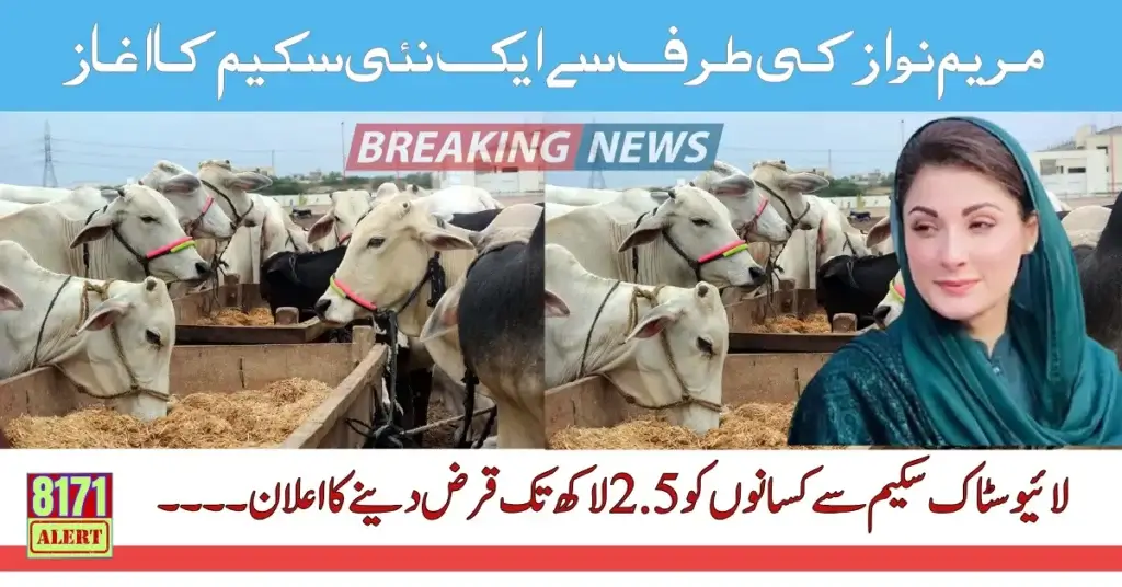 Livestock Card Scheme Registration Requirments In Punjab By Maryam Nawaz