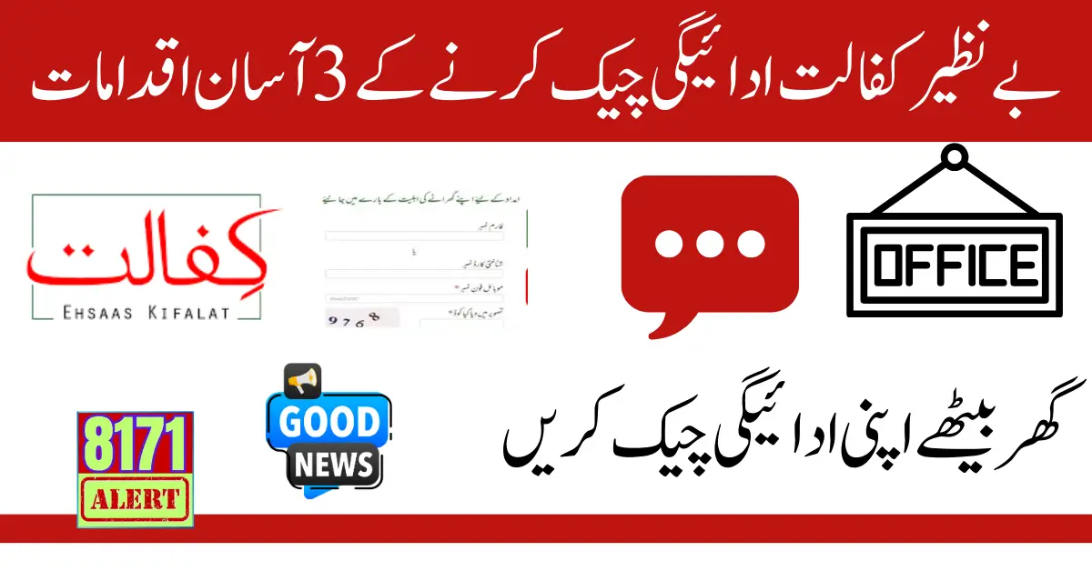 3 Easy Steps to Check Benazir Kafalat Payment: Complete Guide for 2024