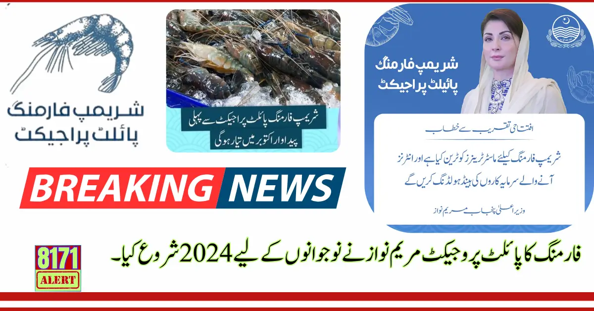 Shrimp Farming Pilot Project Start By Maryam Nawaz For Youth 2024