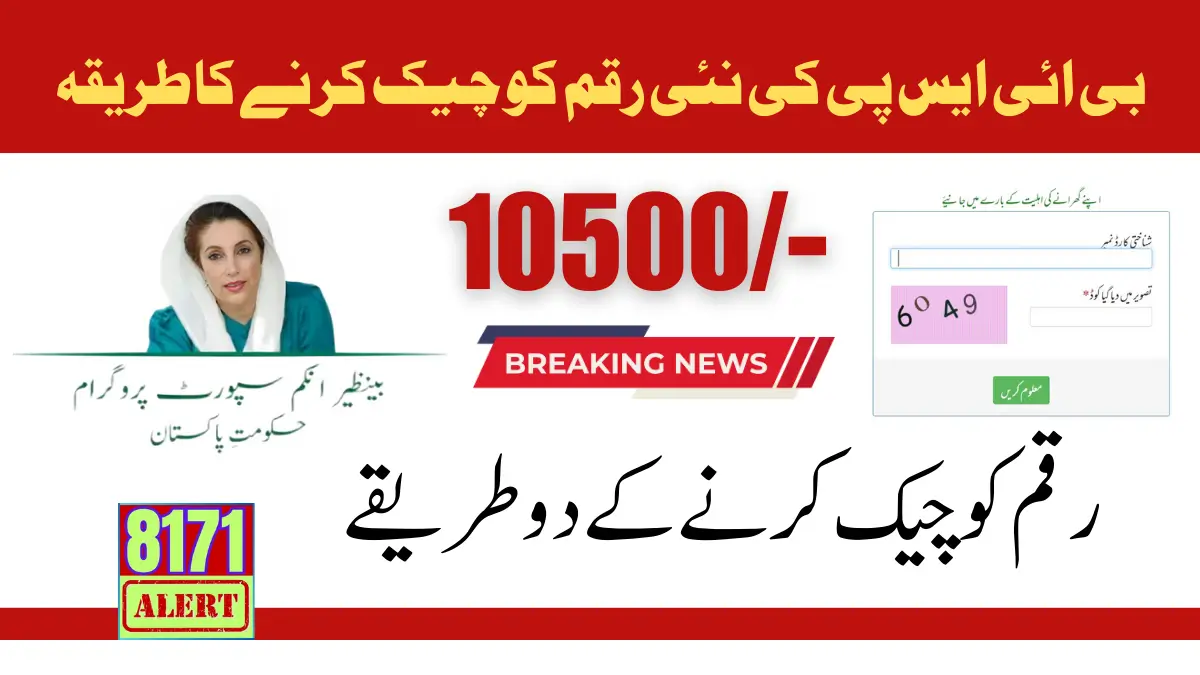 Benazir Income Support Program New Payment Check 2024