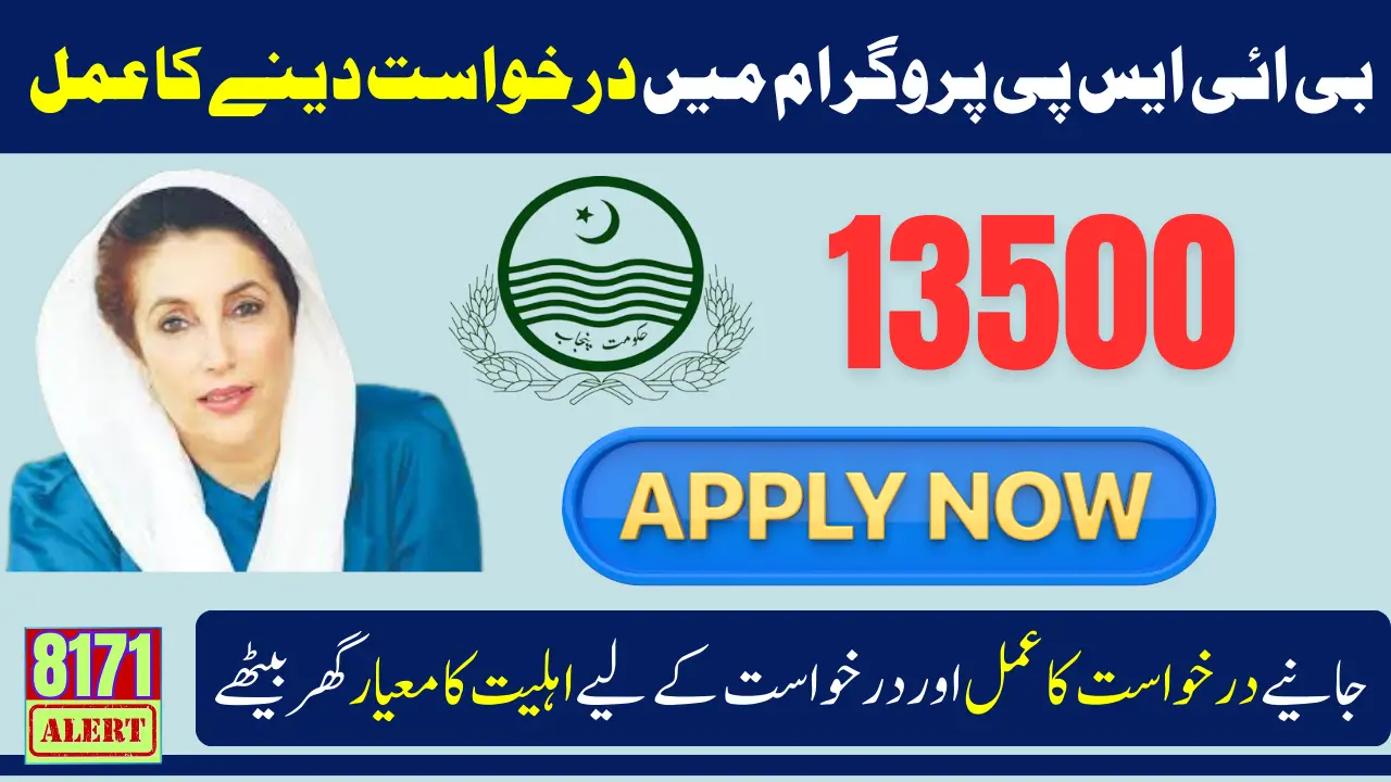 BISP 13500 Payment Application Process