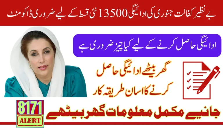 Benazir Kafalat January 2025 Payment Requirements For 13500 New Installment